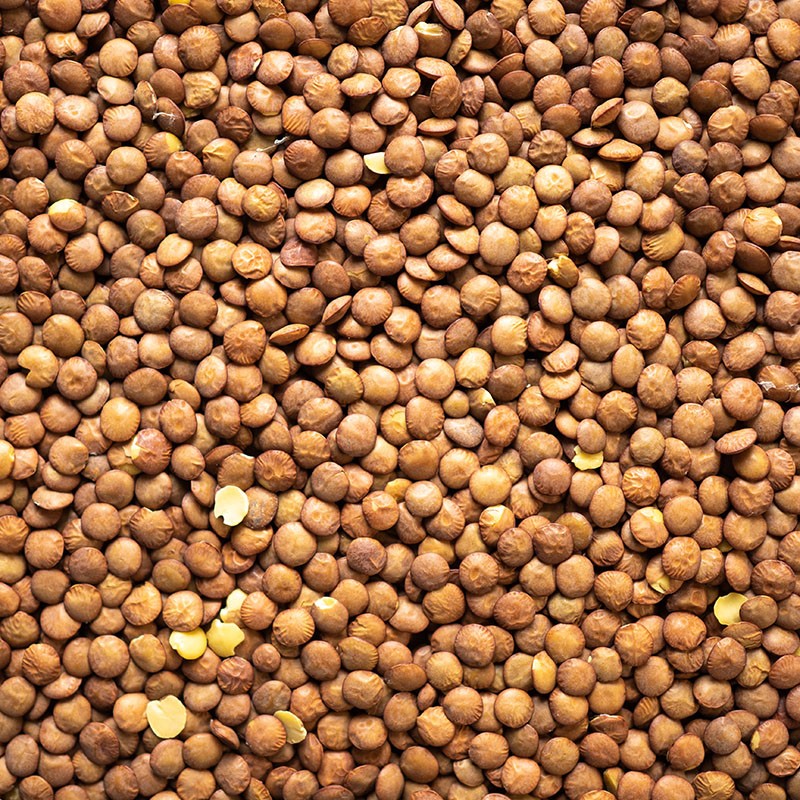 Lentille blonde de Beauce - 1kg