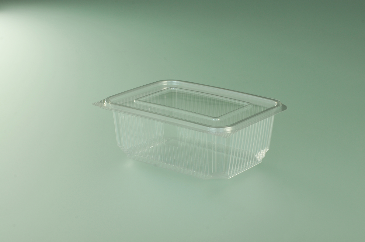 Hinged lid container - 19.14.8x7 cm (948799) (8 x 50 units)