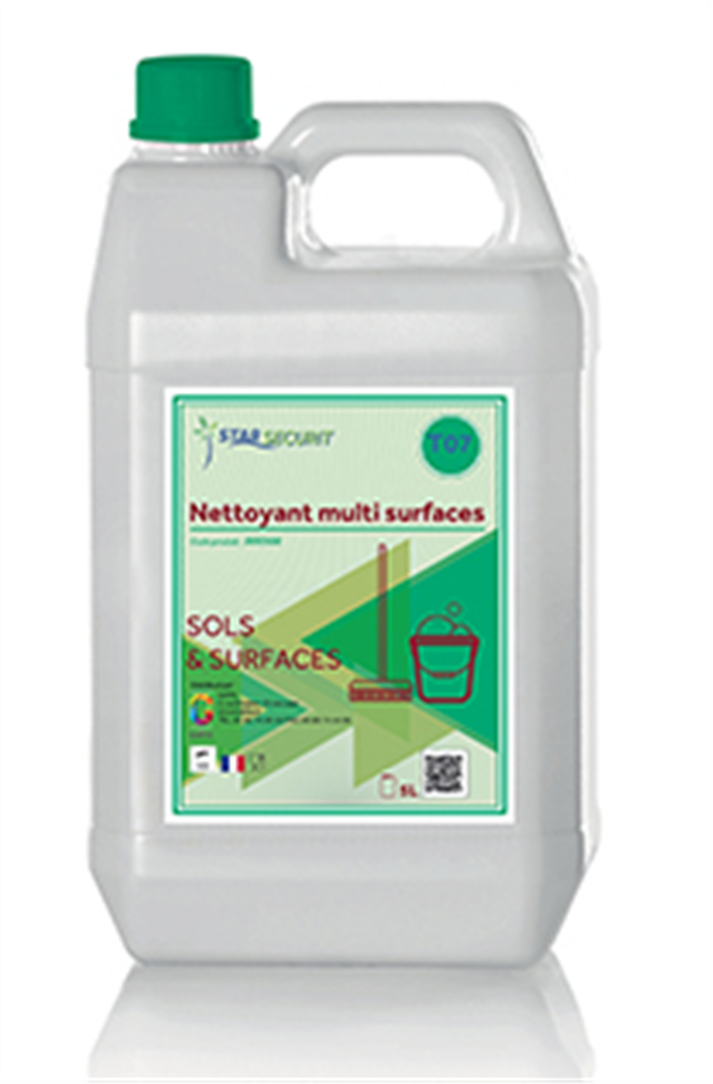 Multi-surface cleaner - 5 L container (006908) (4 X 1 unit)